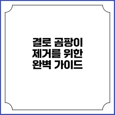 결로 곰팡이 제거를 위한 완벽 가이드