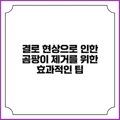 결로 현상으로 인한 곰팡이 제거를 위한 효과적인 팁