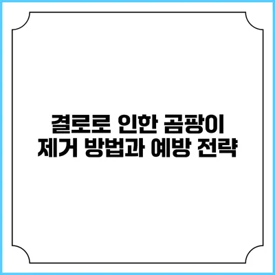 결로로 인한 곰팡이 제거 방법과 예방 전략