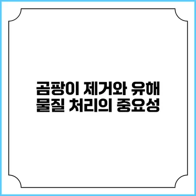 곰팡이 제거와 유해 물질 처리의 중요성