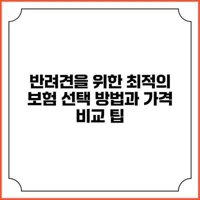 반려견을 위한 최적의 보험 선택 방법과 가격 비교 팁