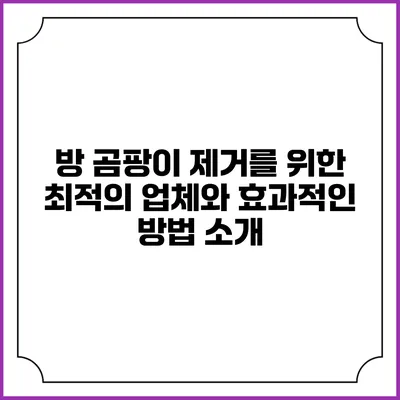 방 곰팡이 제거를 위한 최적의 업체와 효과적인 방법 소개