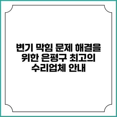 변기 막힘 문제 해결을 위한 은평구 최고의 수리업체 안내