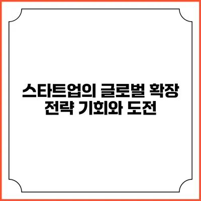 스타트업의 글로벌 확장 전략: 기회와 도전