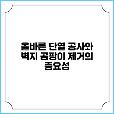 올바른 단열 공사와 벽지 곰팡이 제거의 중요성