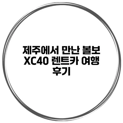 제주에서 만난 볼보 XC40 렌트카 여행 후기