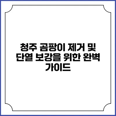 청주 곰팡이 제거 및 단열 보강을 위한 완벽 가이드