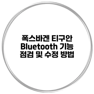 폭스바겐 티구안 Bluetooth 기능 점검 및 수정 방법