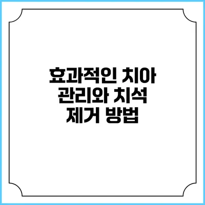 효과적인 치아 관리와 치석 제거 방법
